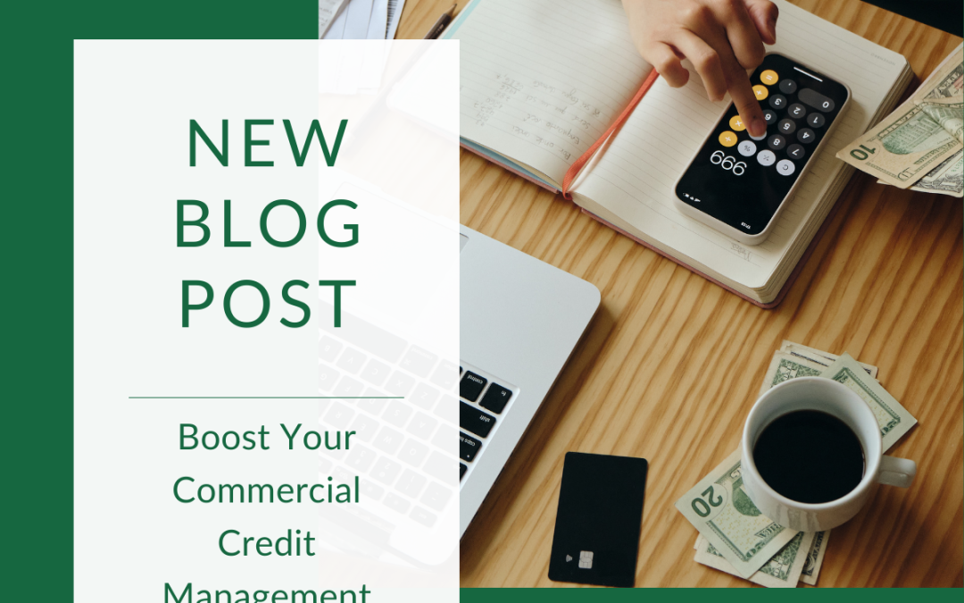 Enhancing Your Effectiveness as a Commercial Credit Manager